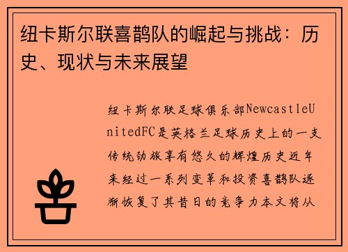 纽卡斯尔联喜鹊队的崛起与挑战：历史、现状与未来展望